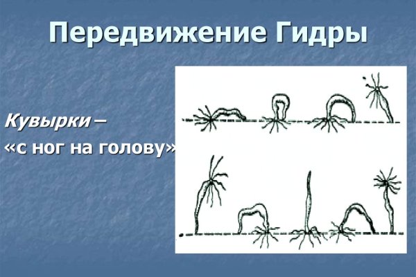 Зеркала на кракен kraken014 com